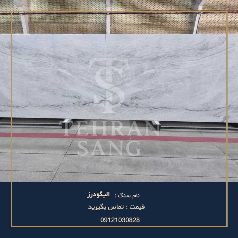 sang-aligodarz.3